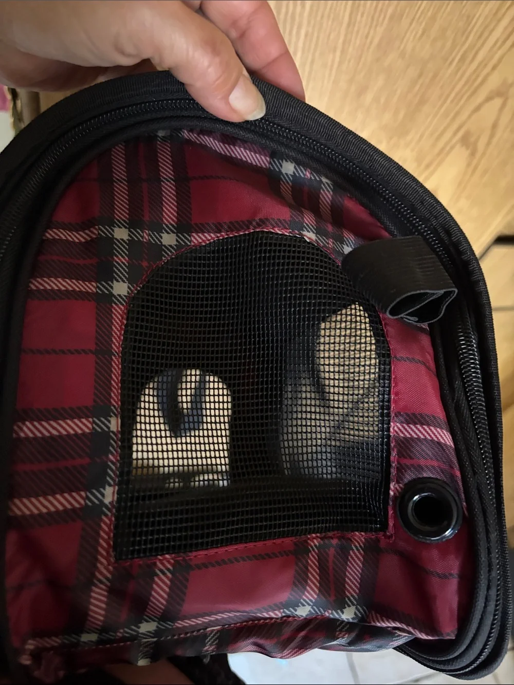 Red Plaid Pet Carrier Bag